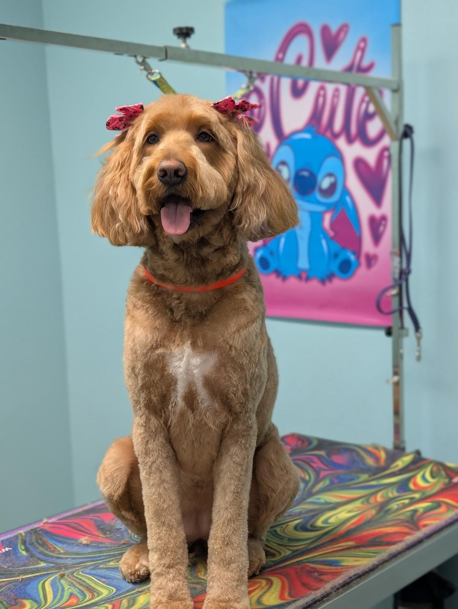 Golden-brown dog with red bows sits on a patterned table, smiling. A Stitch poster is in the background.