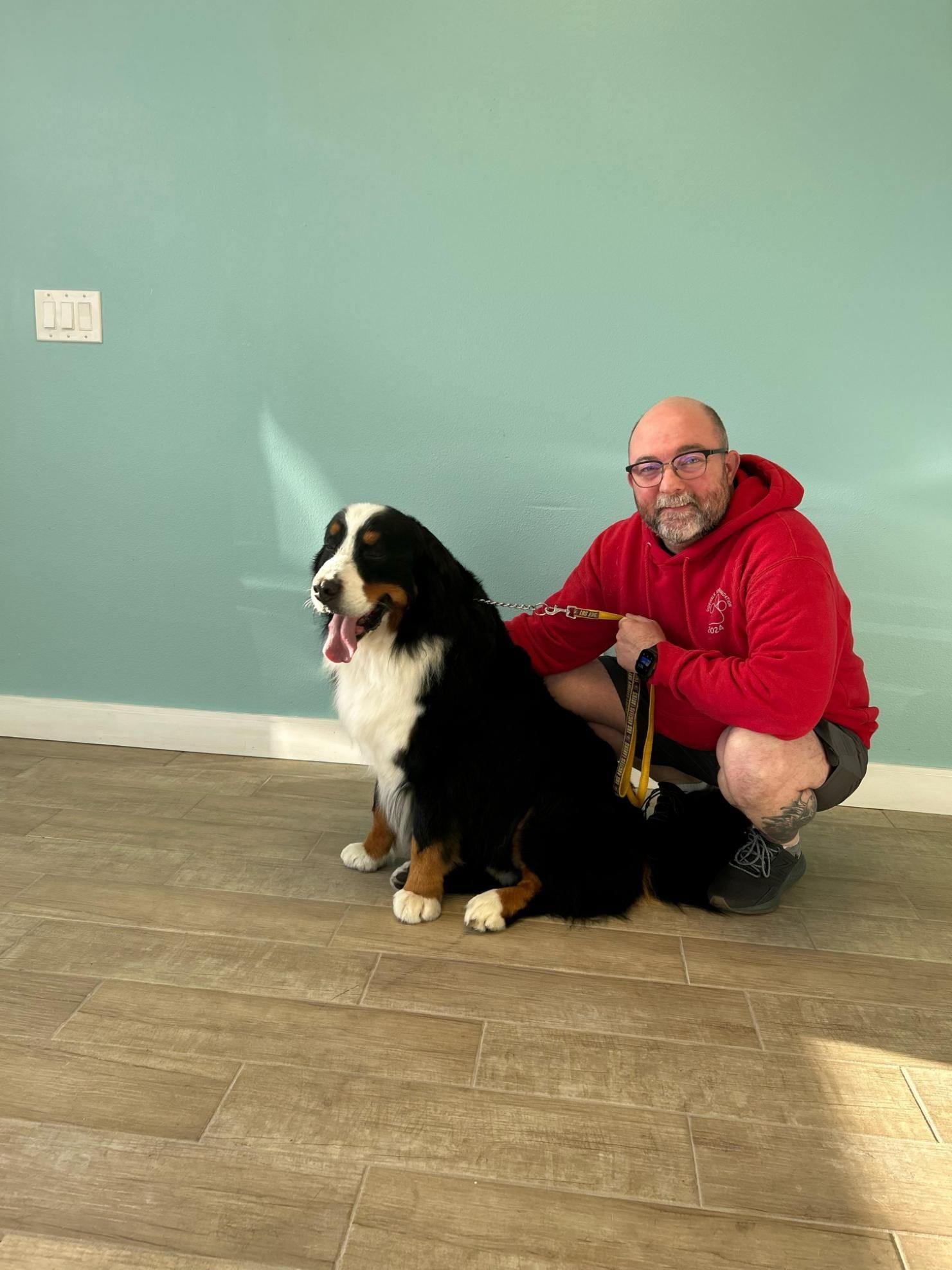 Man in red hoodie kneels next to a Bernese Mountain Dog in a room with turquoise walls.