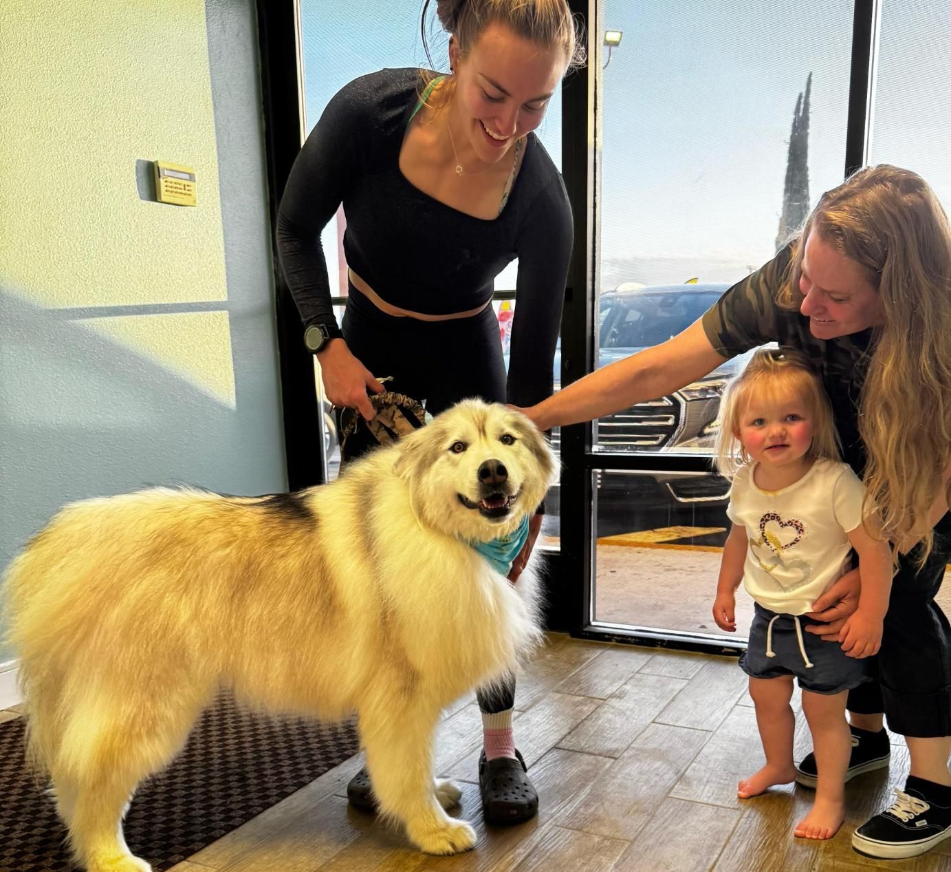 Two women and a toddler pet a large, fluffy dog inside a building.