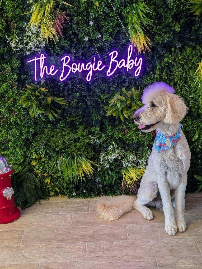 A light-colored dog with purple hair sits by a wall with neon sign reading 