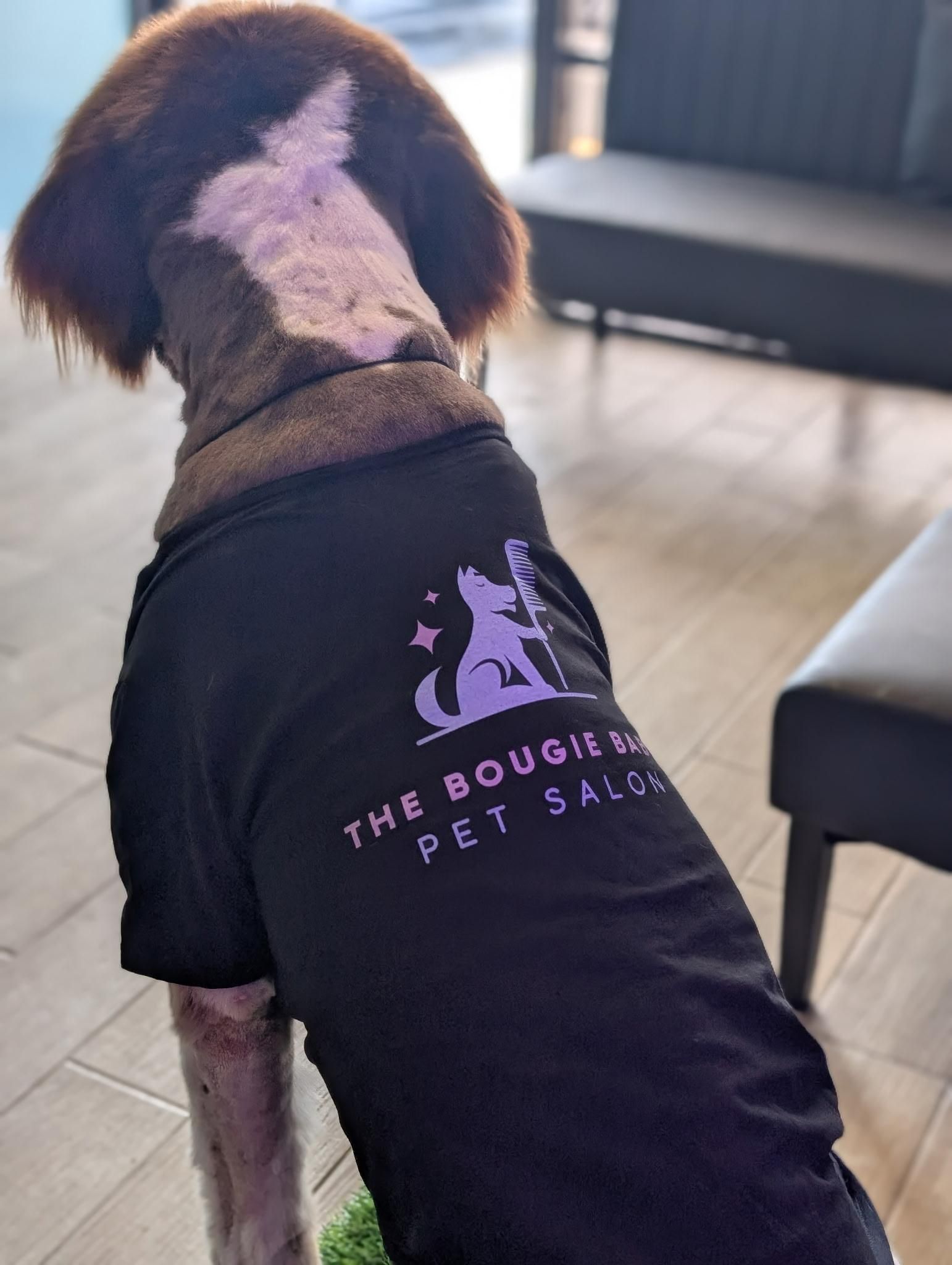 Dog wearing black t-shirt, back to camera, in a pet salon. T-shirt has purple logo: 