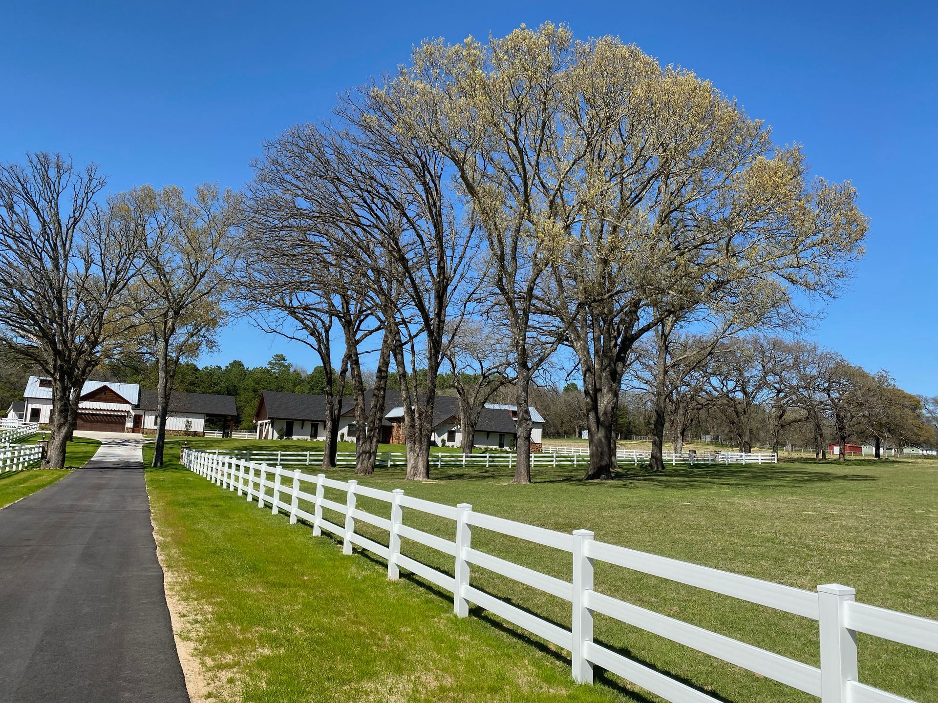 Black asphalt road leading to houses behind a white fence and green field under a blue sky.