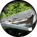 A picture of a roof with a tree in the background