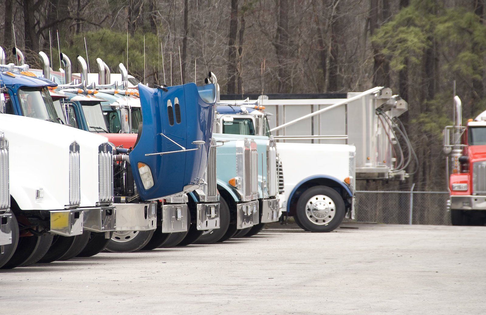 trailer trucks parked in the parking area