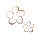 Due fiori stilizzati color oro su sfondo bianco, uno grande e uno piccolo.