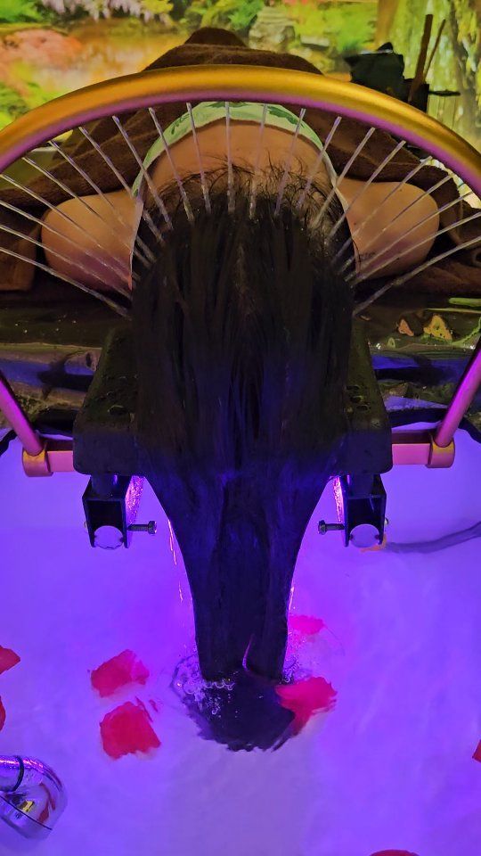 Lunghi capelli scuri cadono a cascata nell'acqua, circondati da petali, illuminati da una luce viola.