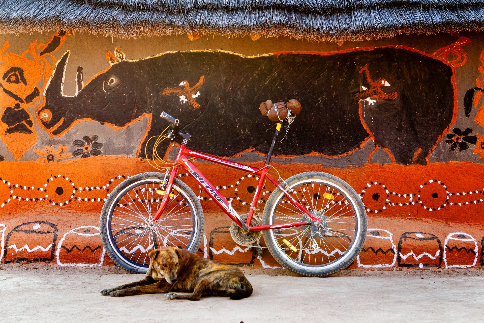 Woman in patterned skirt and jacket stands near wheelbarrow with seedlings in front of colorful wall.