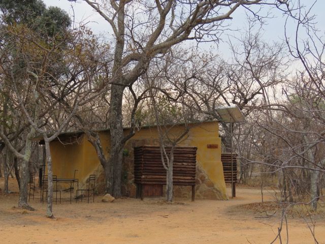 A yellow, stucco-like building partially hidden by bare trees in a dry, outdoor setting.