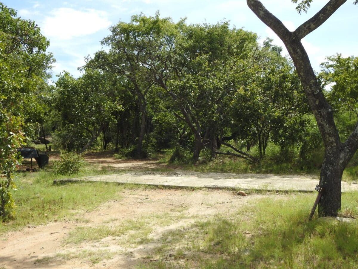 Dirt path leading into a wooded area with green trees, brown ground, and blue sky.