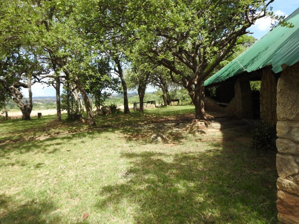 Grassy area with trees, shadows, and a stone building with a green roof; horses graze in the background.