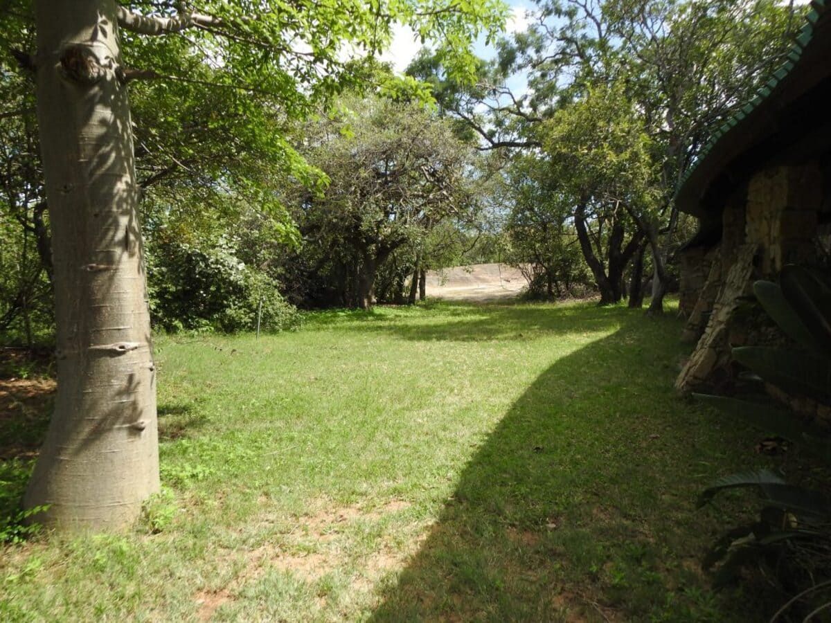Green lawn with trees, shadowed by a structure on the right side.