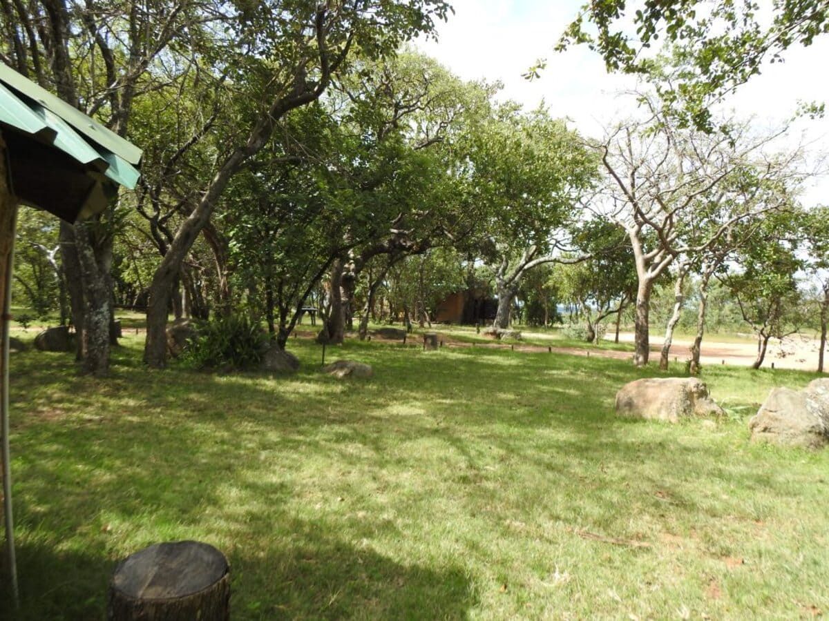 Green grassy area with trees and a sign, in a natural setting, possibly a park.