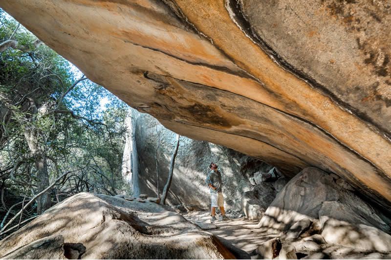 Person standing under a large, overhanging rock formation in a sunny forest.
