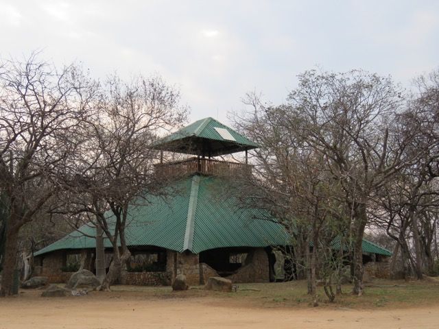 Stone lodge with green roof and observation tower amid bare trees.