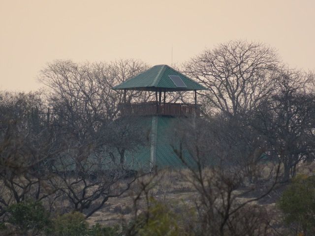 Observation tower with green roof, surrounded by bare trees, under a hazy sky.