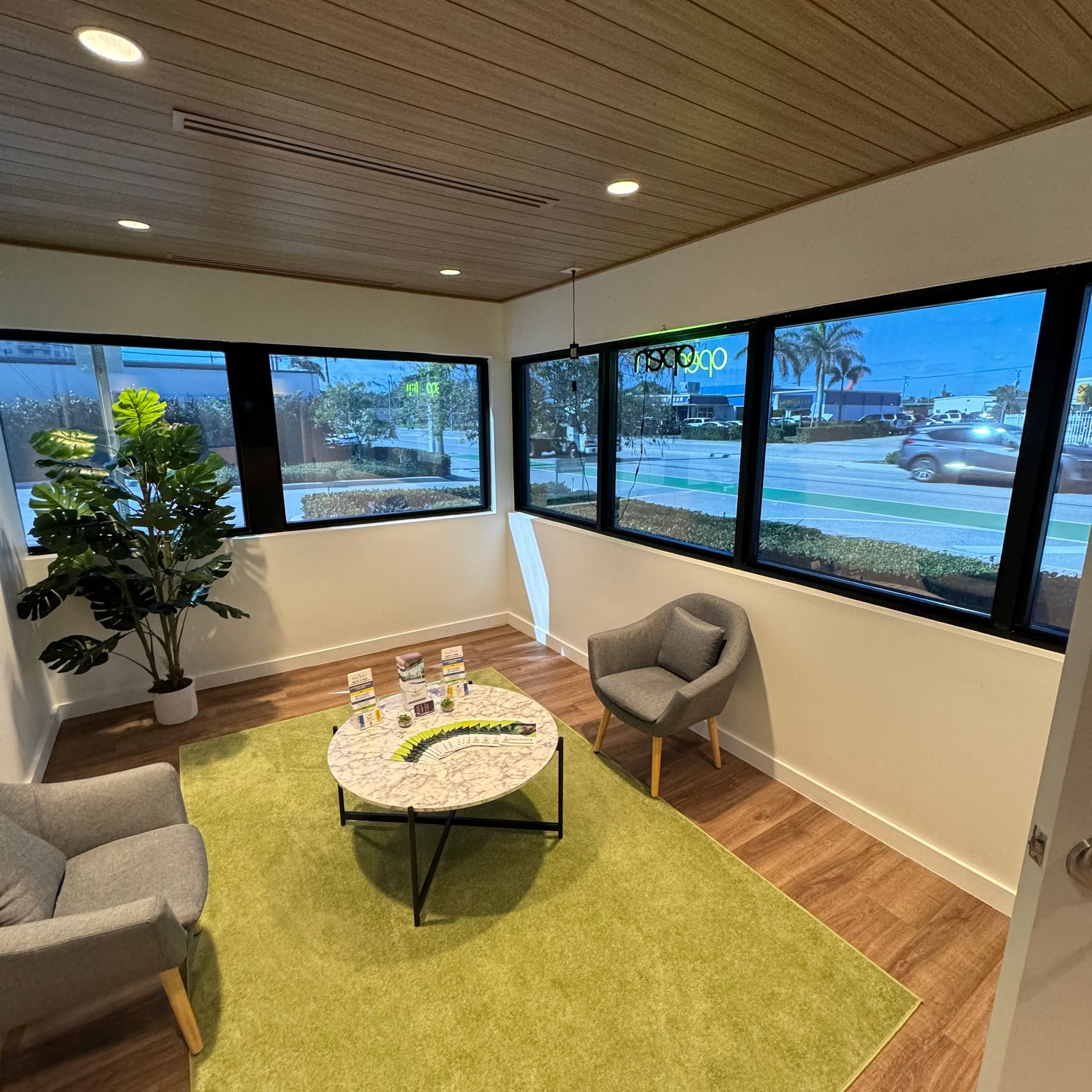 A living room with a table , chairs , and a plant.
