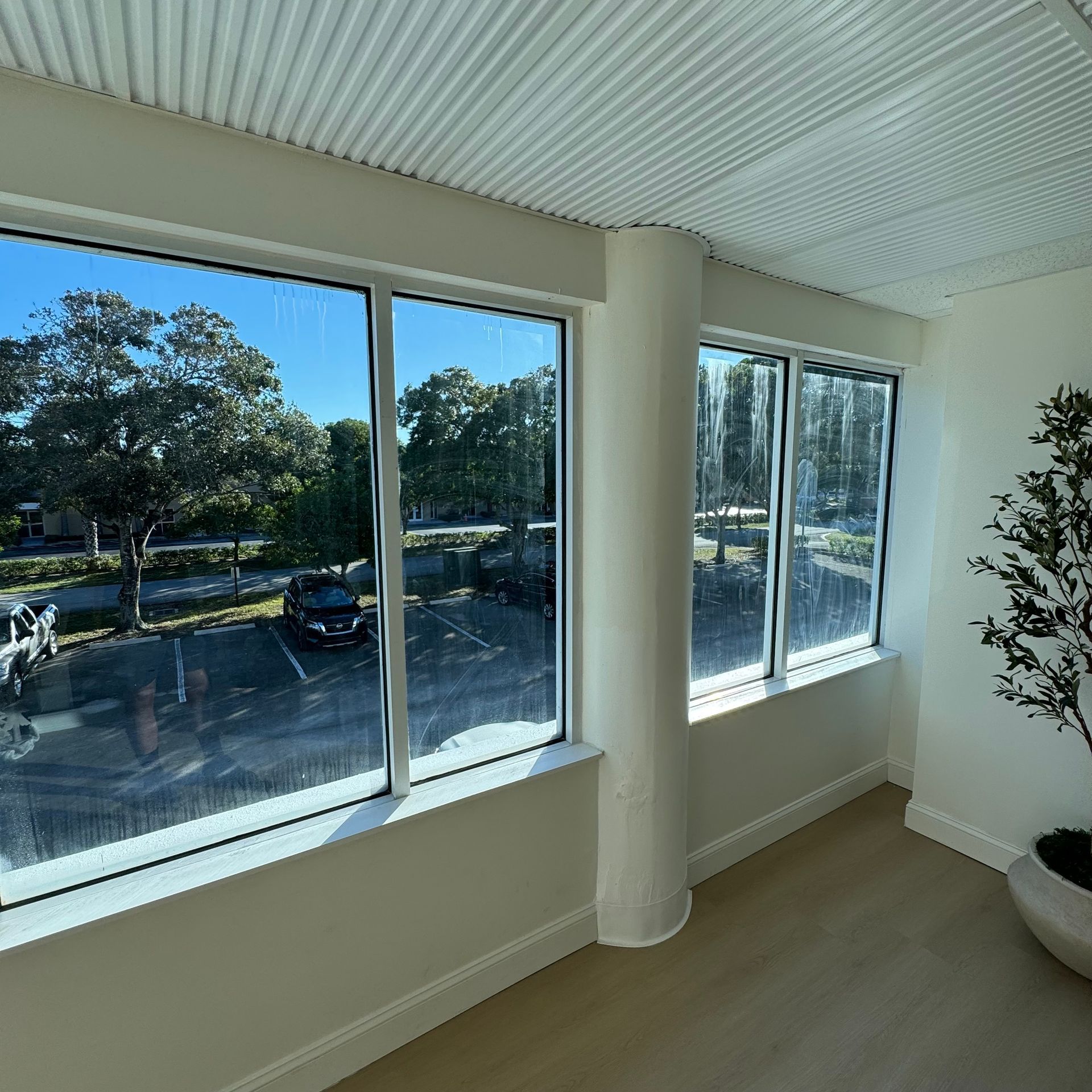 A room with a lot of windows and a potted plant