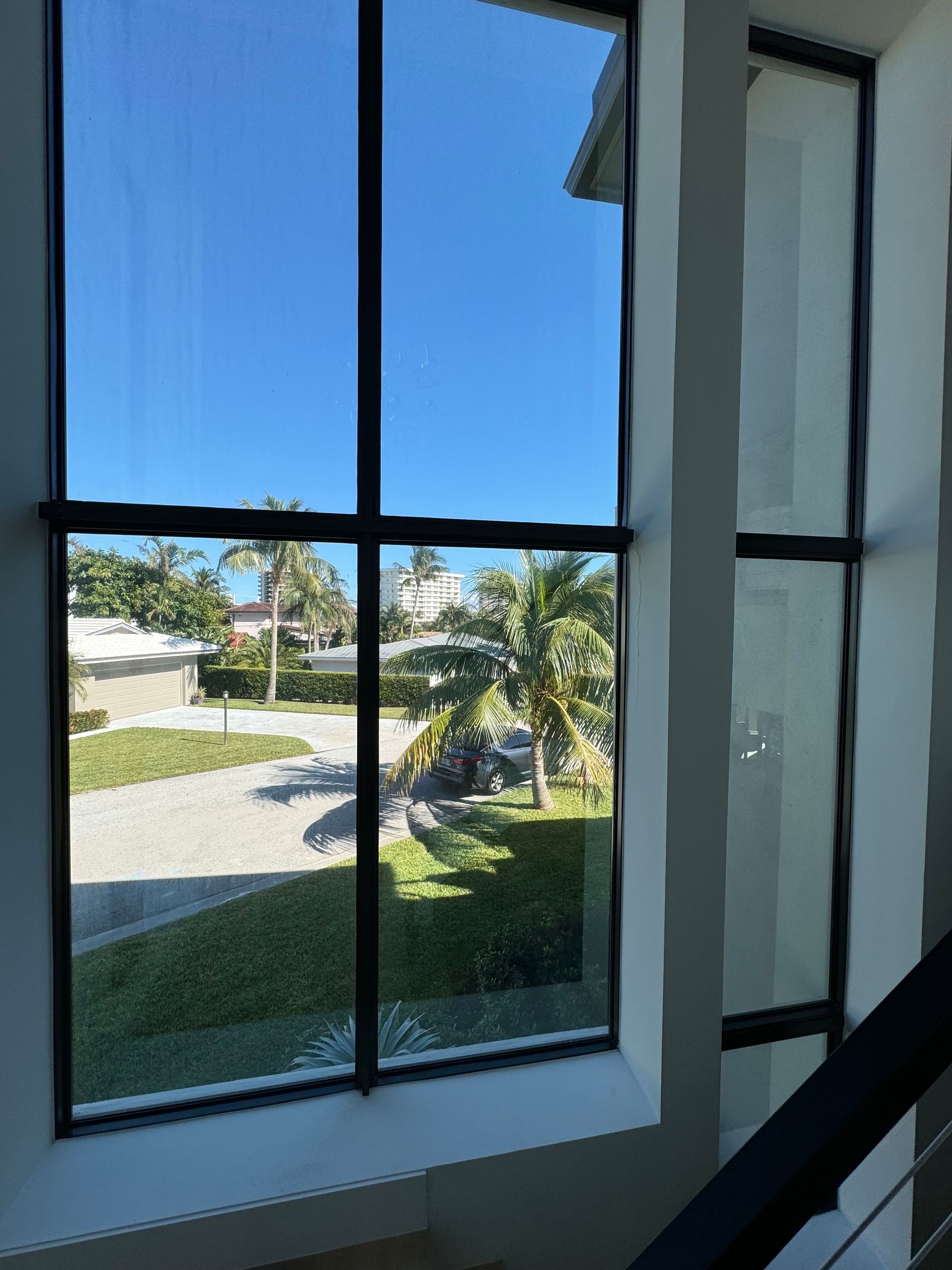 A large window with a view of a lush green field and palm trees.