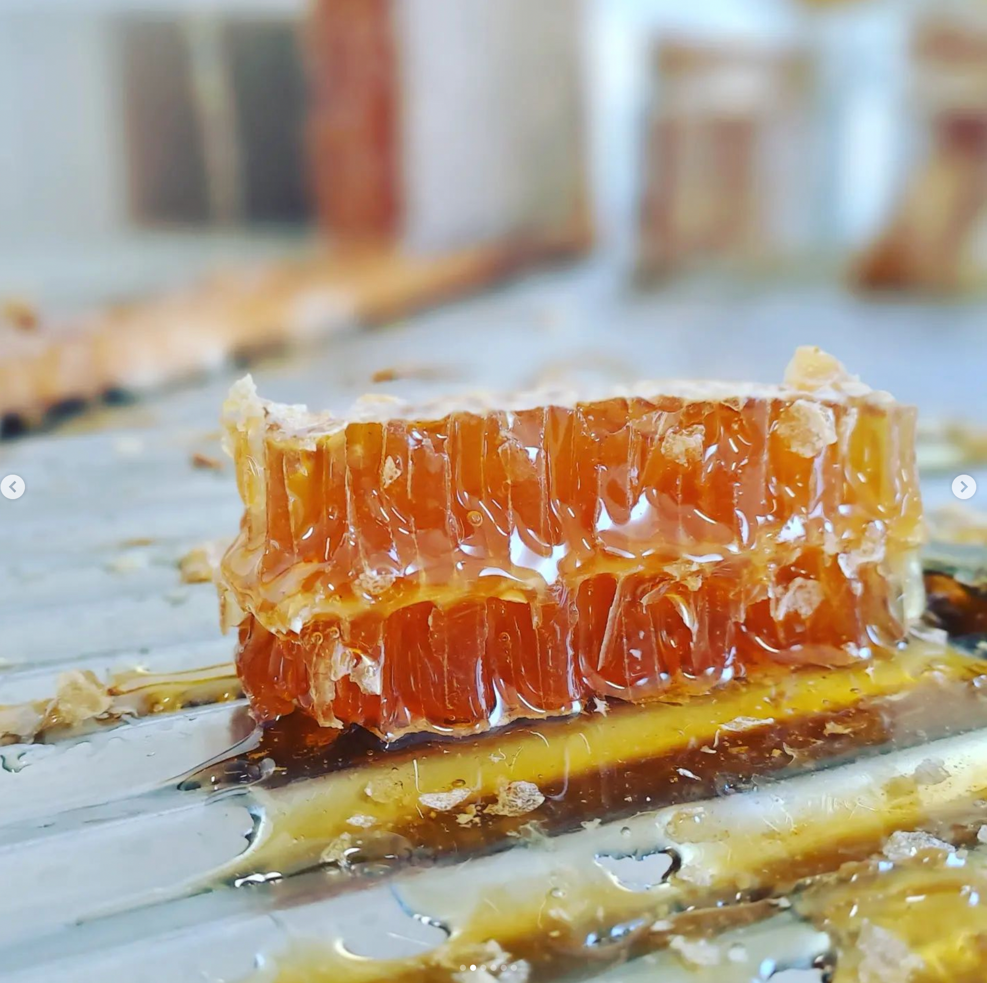 pappa reale apicoltura Ferti Ameglia