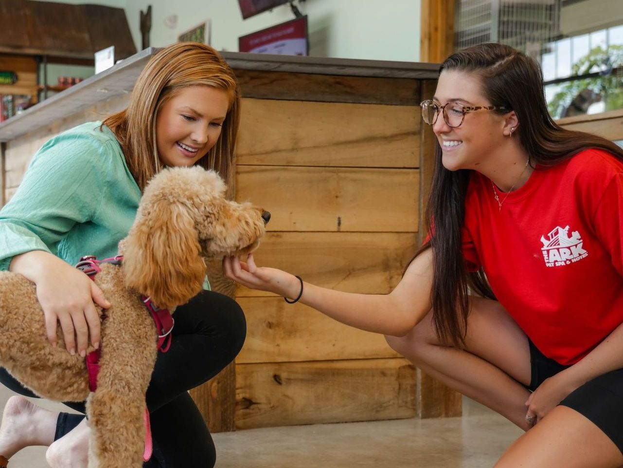 Two women are petting a small brown dog.
