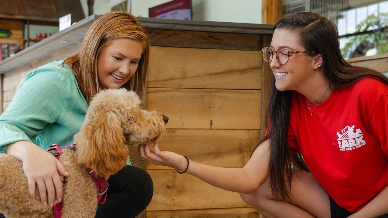 Two women are petting a small brown dog.
