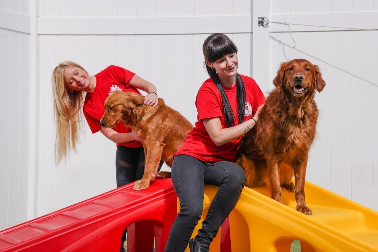 Girls with dogs