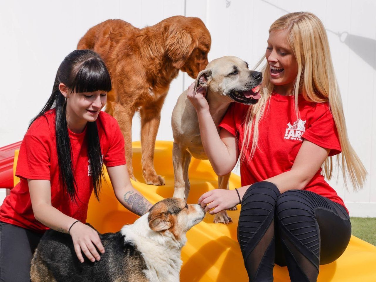 Two women in red shirts are sitting next to three dogs.