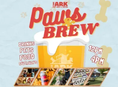 An advertisement for paws brew shows a glass of beer