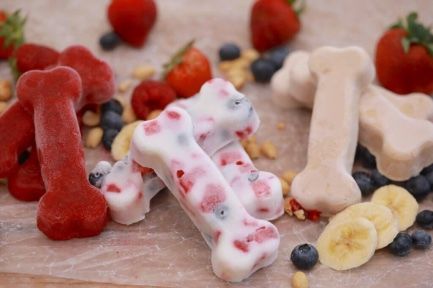 Ice cream in the shape of a dog bone with strawberries , blueberries , bananas and peanuts.