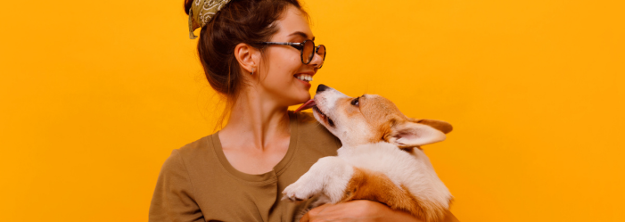 A woman is holding a dog in her arms on a yellow background.