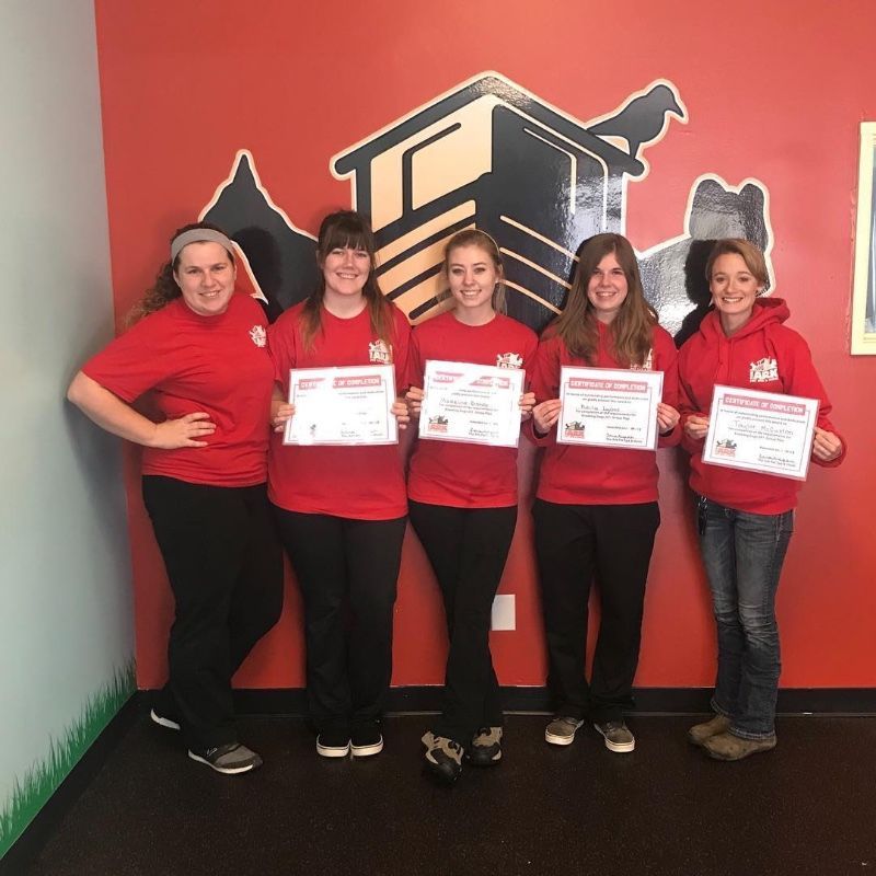A group of women standing in front of a red wall holding certificates