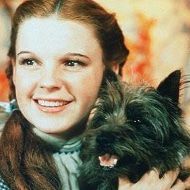 A woman is holding a small dog in her arms and smiling.