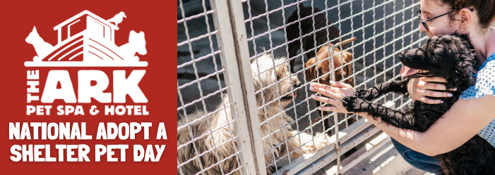 A man and woman are hugging a dog in a cage.