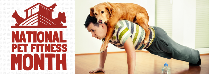 A man is doing push ups with a dog on his back.
