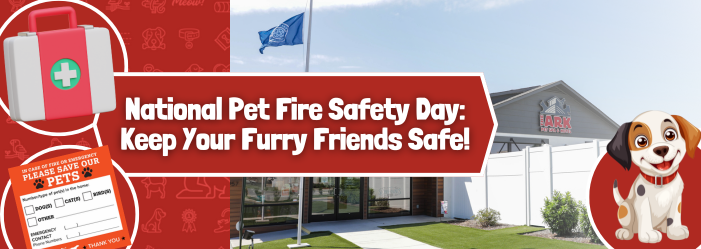 National pet fire safety day : keep your furry friends safe !