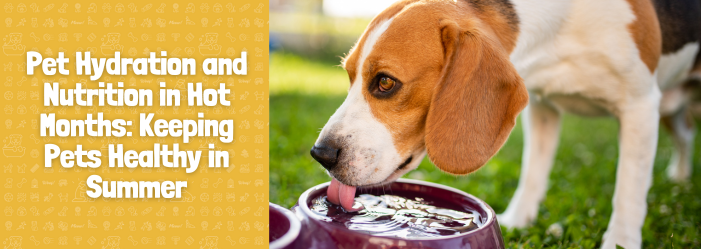 A dog is drinking water from a bowl in the grass.