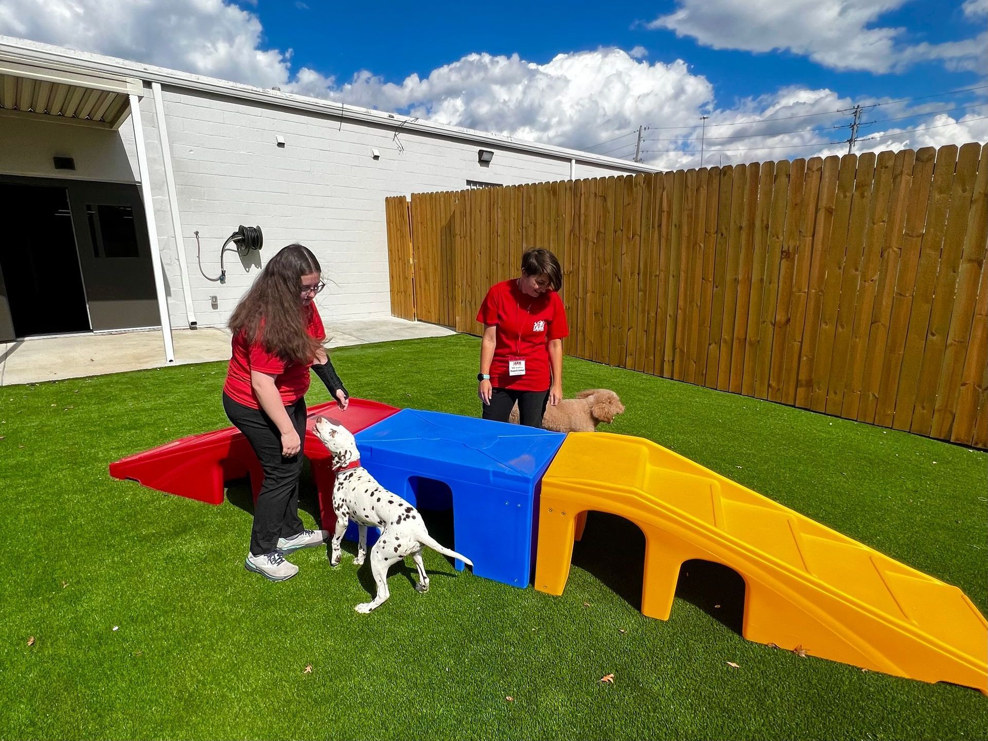 Two women are playing with two dalmatian dogs in a backyard.