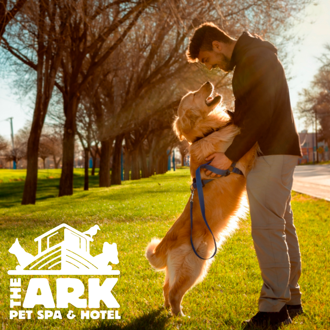 A man playing with a dog in a park with a logo for the ark pet spa & hotel