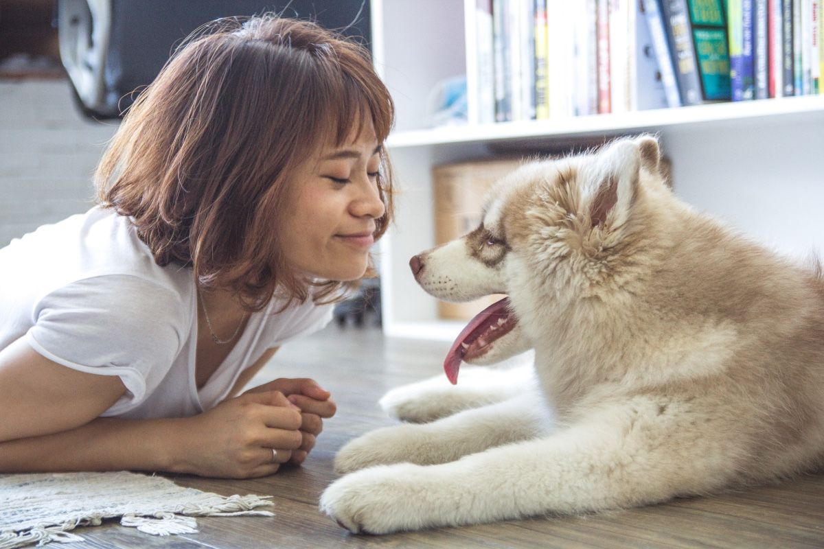 A woman is laying on the floor looking at a husky puppy.