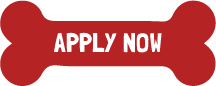 A red bone with the words `` apply now '' written on it.