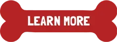 A red bone with the words `` learn more '' written on it.