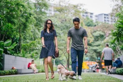 A man and a woman are walking a dog in a park.