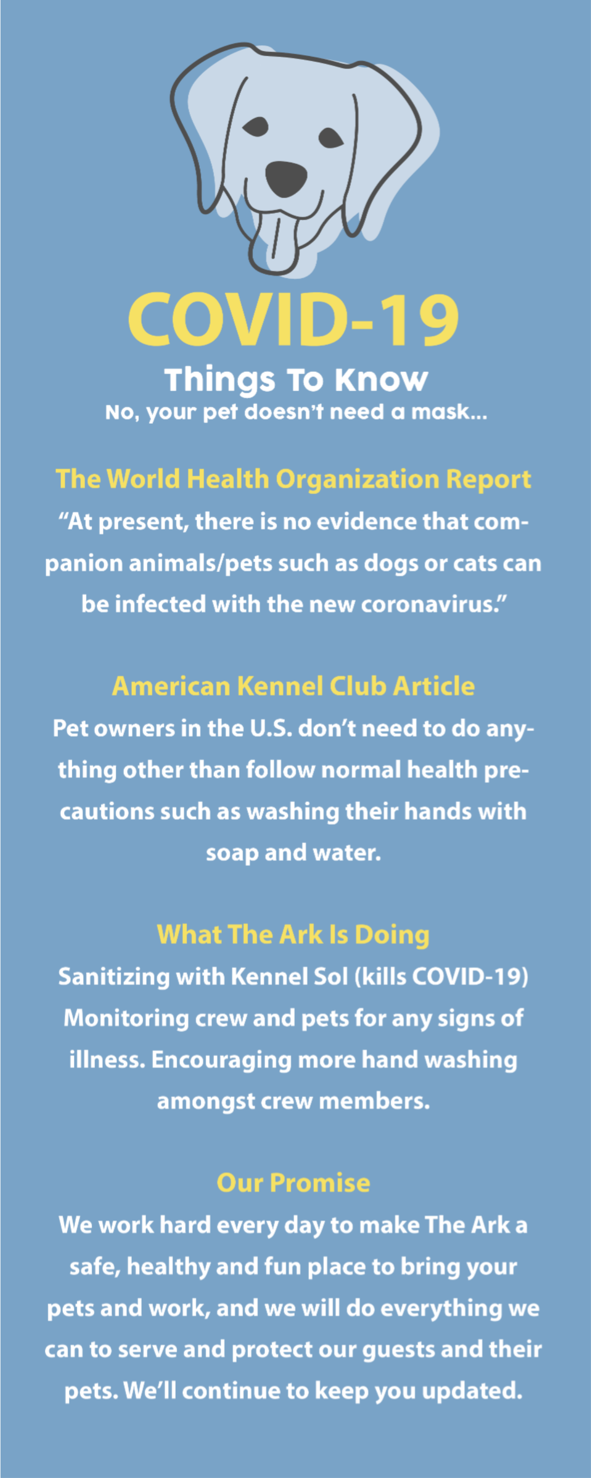 A flyer about covid-19 with a picture of a dog on it.