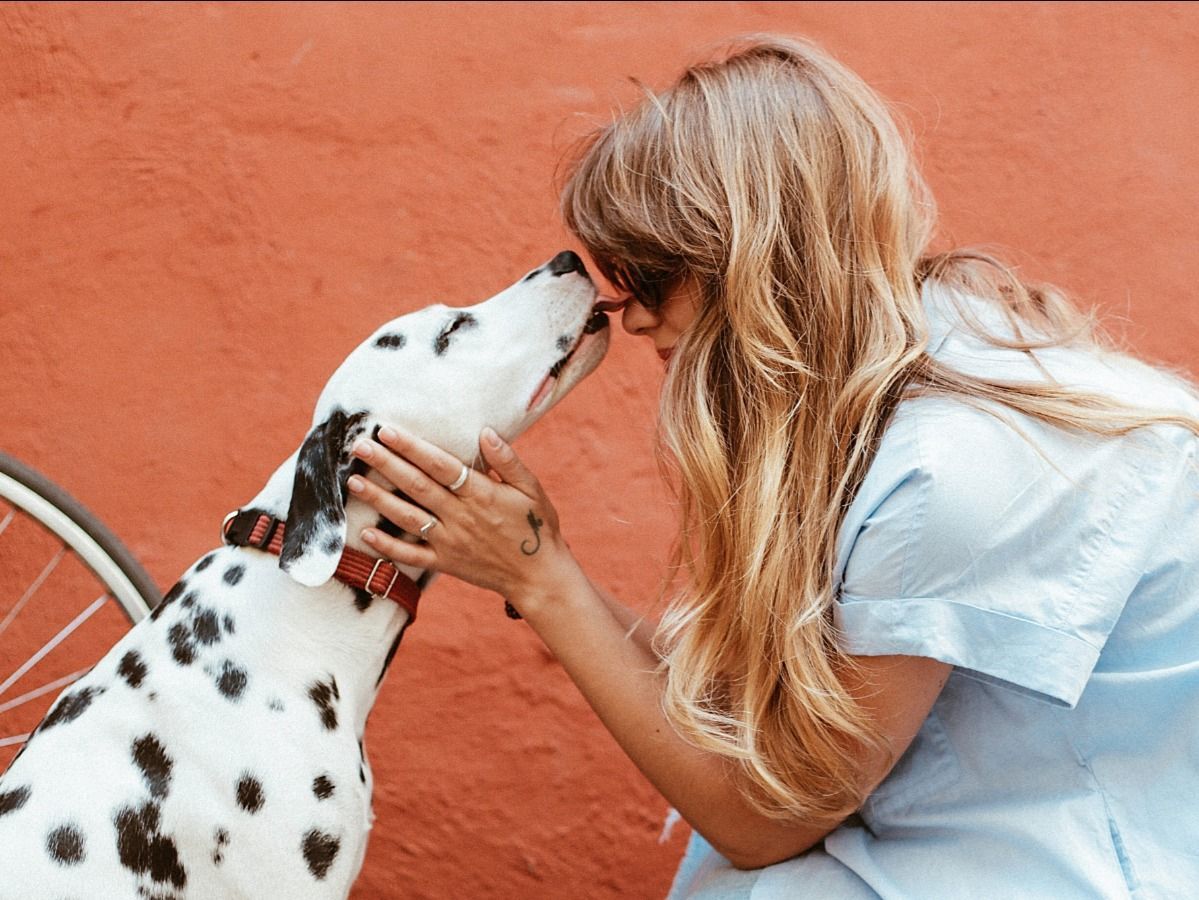 A woman is kissing a dalmatian dog on the nose.