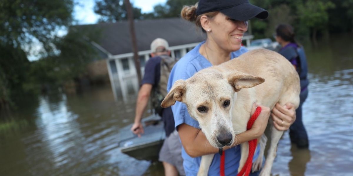 A woman is holding a dog in a flooded area.