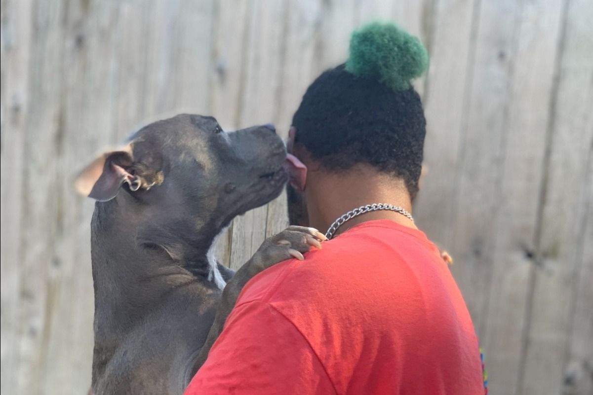 A man in a red shirt is holding a dog on his shoulder.