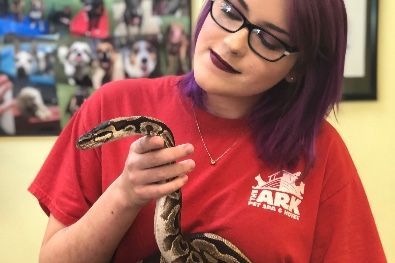 A woman with purple hair is holding a snake in her hands.