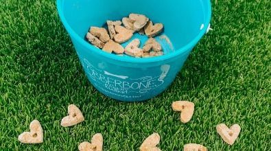 A blue bowl filled with dog treats is sitting on top of a lush green field.