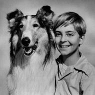 A boy and a dog are posing for a black and white photo.