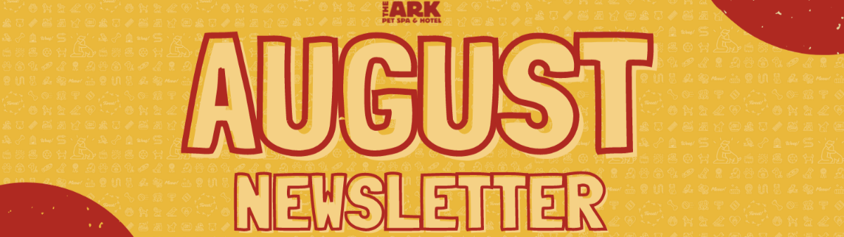 A yellow banner with the words august newsletter on it.